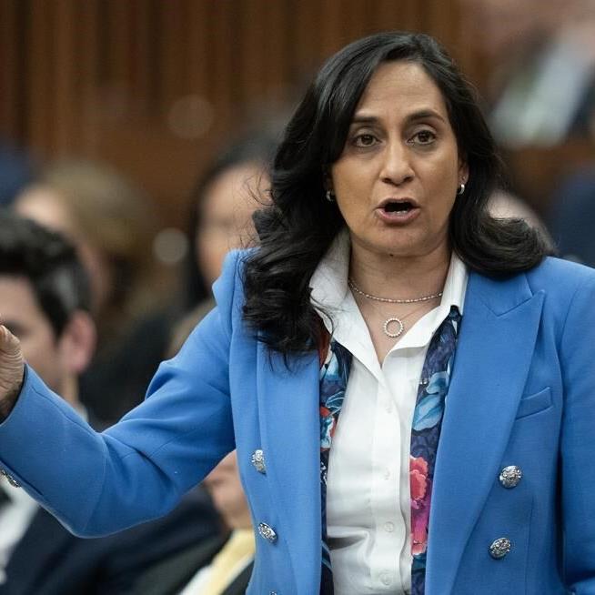 Feds need 'nuanced' approach to ensure public sector doesn't lose tech talent: Anand